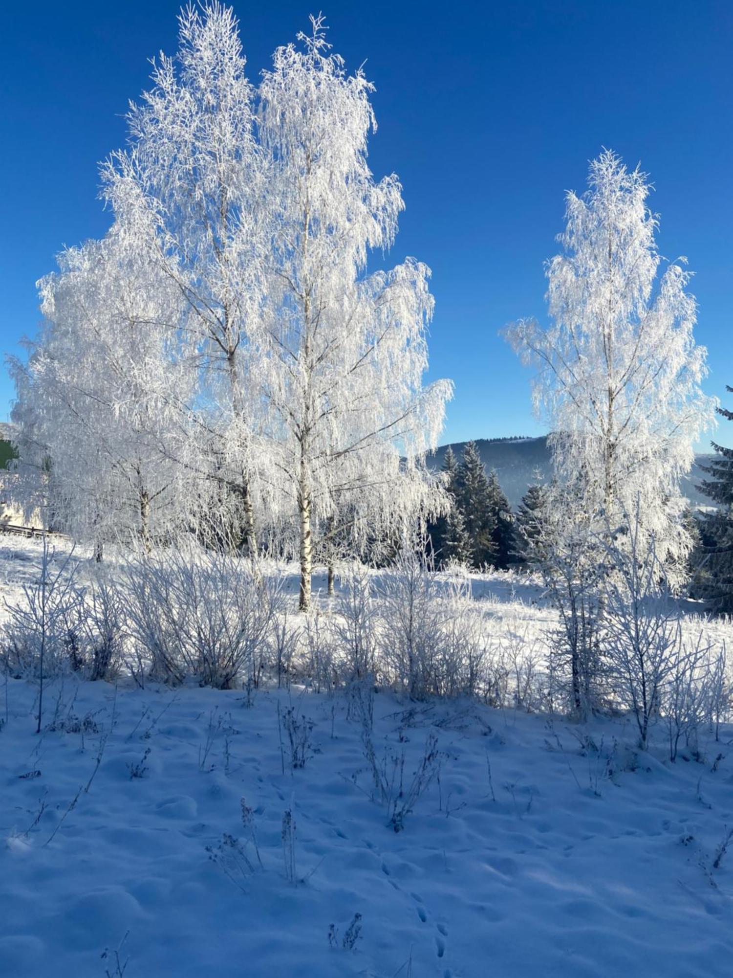 Hotel Panorama Karpat Yablunytsya Esterno foto