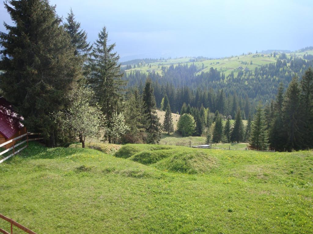 Hotel Panorama Karpat Yablunytsya Esterno foto